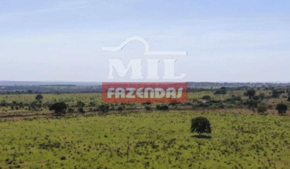 Fazenda Em Torixor U Mato Grosso Mil Fazendas