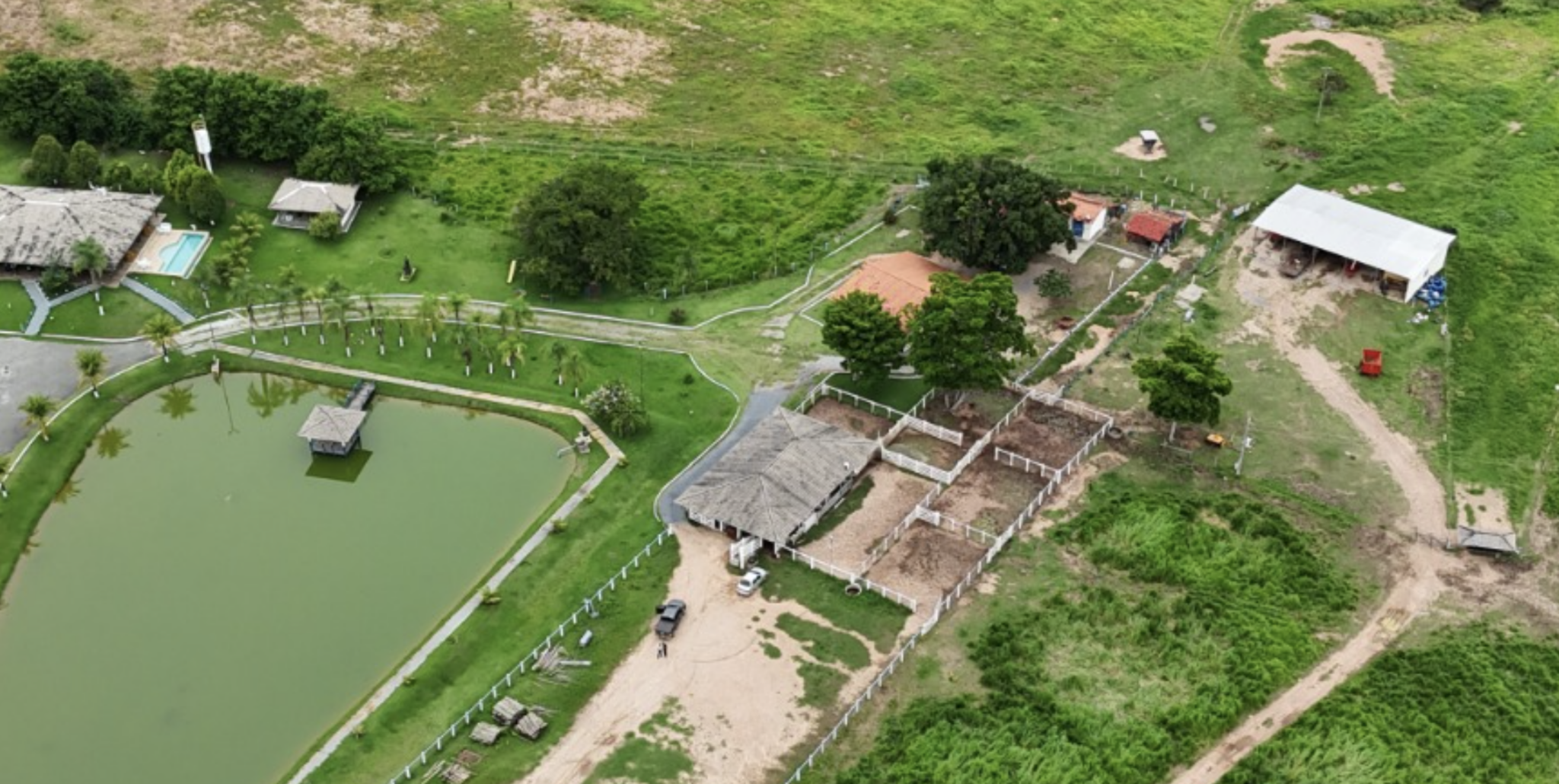 Fazendas De Gado Venda Invista Na Pecu Ria E Aumente Seus Lucros