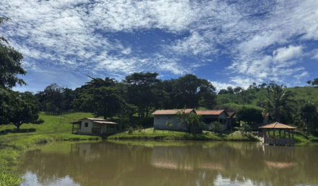 À venda - Chácara em Leopoldo de Bulhões - Goiás