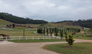 A venda - Fazenda Haras na Região de Sapucaí Mirim, sul de Minas Gerais
