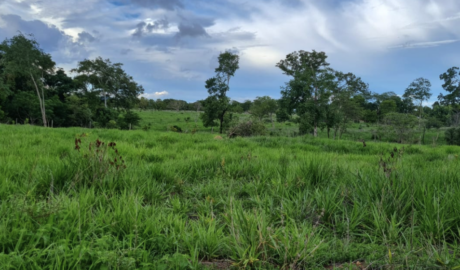 À venda - Fazenda em Faina - Goiás