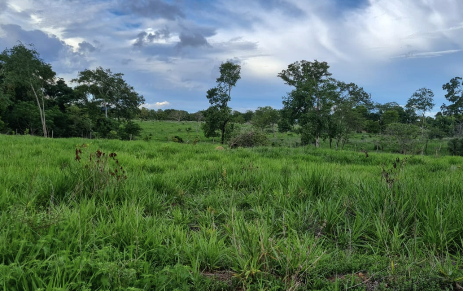 À venda - Fazenda em Faina - Goiás