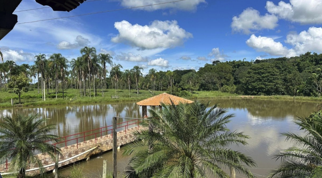 À venda - Fazenda em Inhumas - Goiás