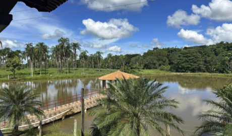 À venda - Fazenda em Inhumas - Goiás