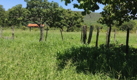 À venda - Fazenda em São João da Ponte - Minas Gerais