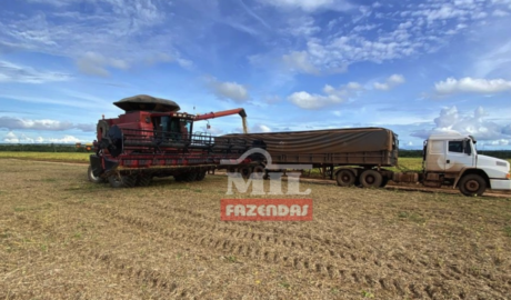 À venda - Fazenda em São José do Xingu - Mato Grosso