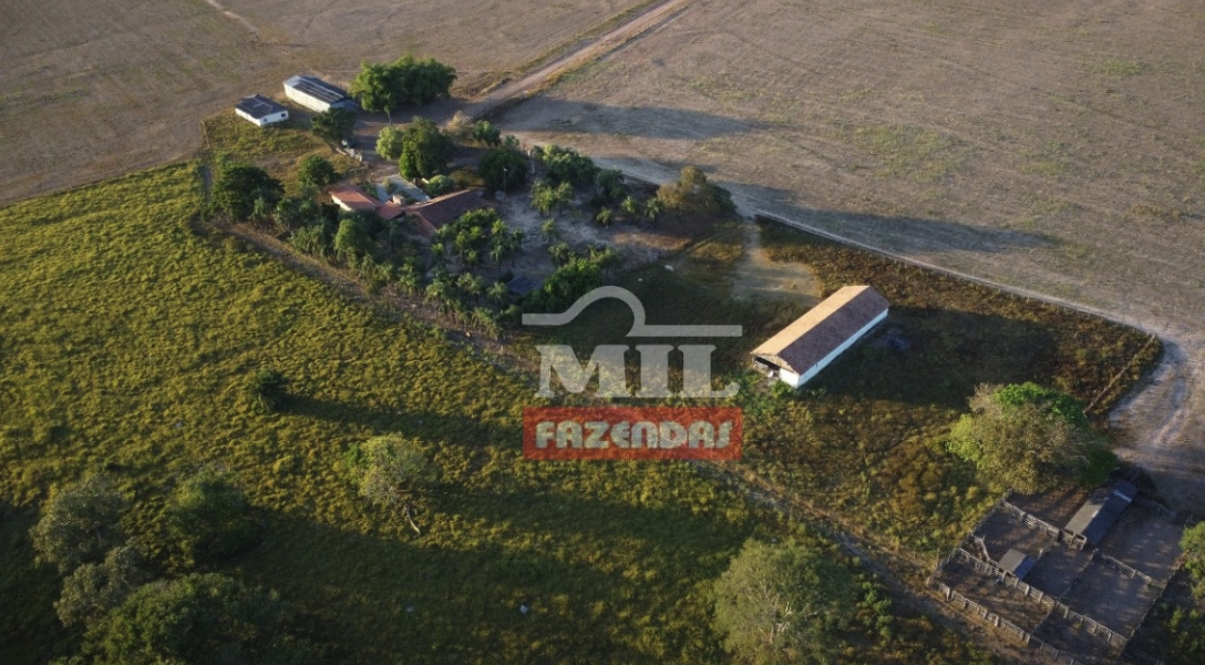 À venda - Fazenda em Talismã - Tocantins