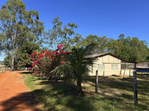 À venda - Sítio em Inhumas - Goiás