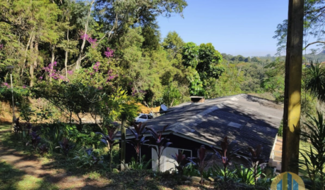 À venda - Chácara em São Roque - São Paulo