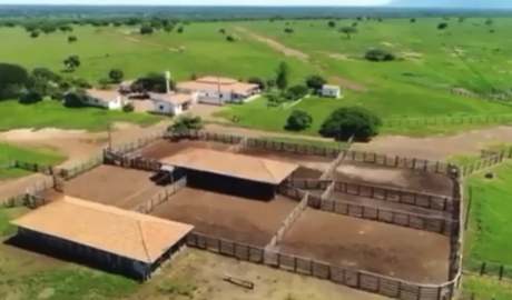 À venda - Fazenda em Alvorada do Norte - Goiás