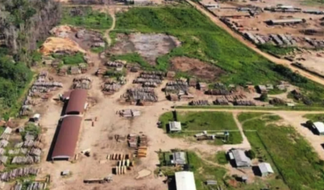 Á venda - Fazenda em Colorado do Oeste - Rondônia