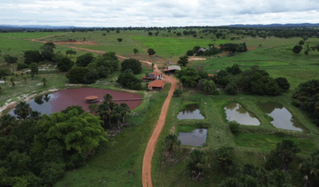 Á venda - Fazenda em Itapirapuã - Goiás