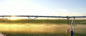 À venda - Fazenda em Lucas do Rio Verde - Mato Grosso