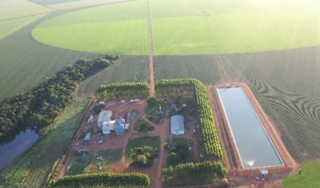 À venda - Fazenda em Lucas do Rio Verde - Mato Grosso