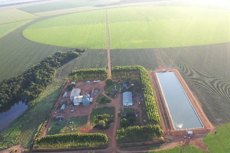 À venda - Fazenda em Lucas do Rio Verde - Mato Grosso