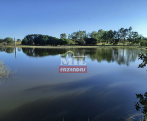 À venda - Fazenda em Natividade - Tocantins