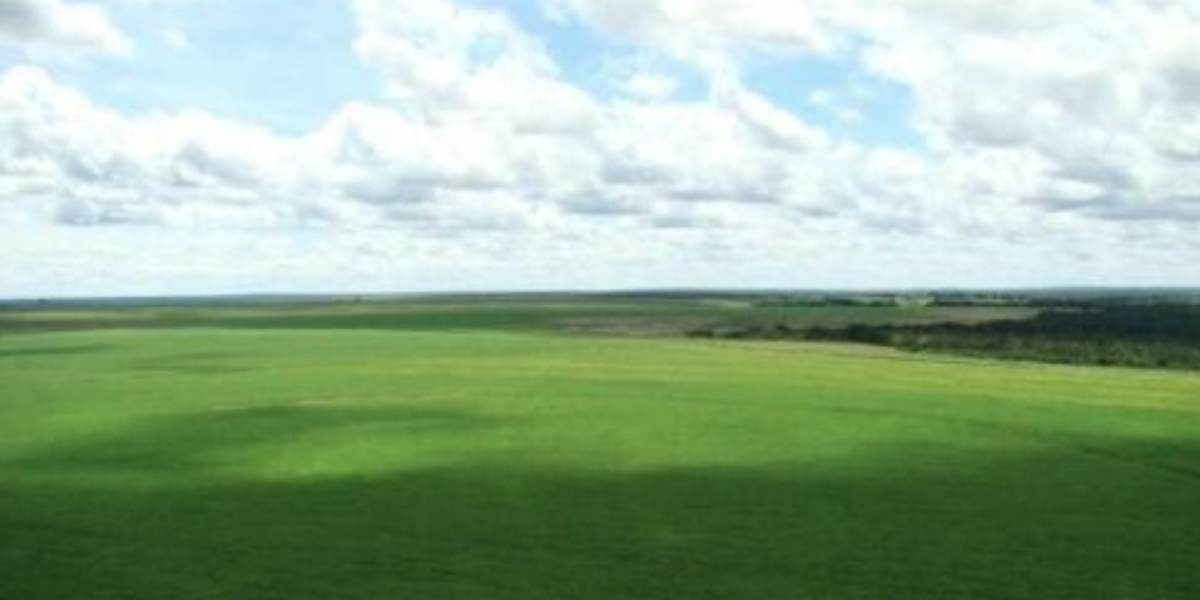 À venda - Fazenda em Paranatinga - Mato Grosso