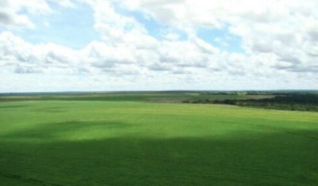 À venda - Fazenda em Paranatinga - Mato Grosso