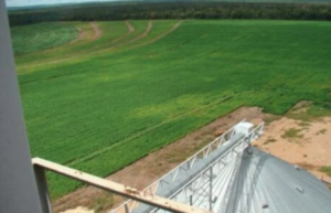 À venda - Fazenda em Paranatinga - Mato Grosso