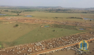 À venda - Fazenda em Parauapebas - Pará