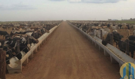 À venda - Fazenda em Parauapebas - Pará