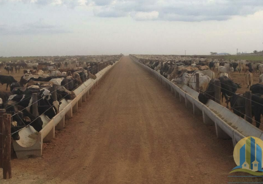 À venda - Fazenda em Parauapebas - Pará