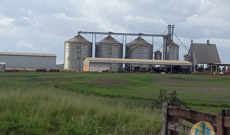 À venda - Fazenda em Santana de Parnaíba - São Paulo