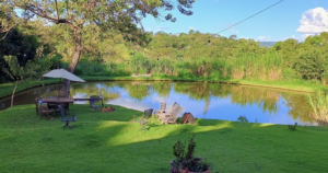 À venda - Sítio em Goianira - Goiás