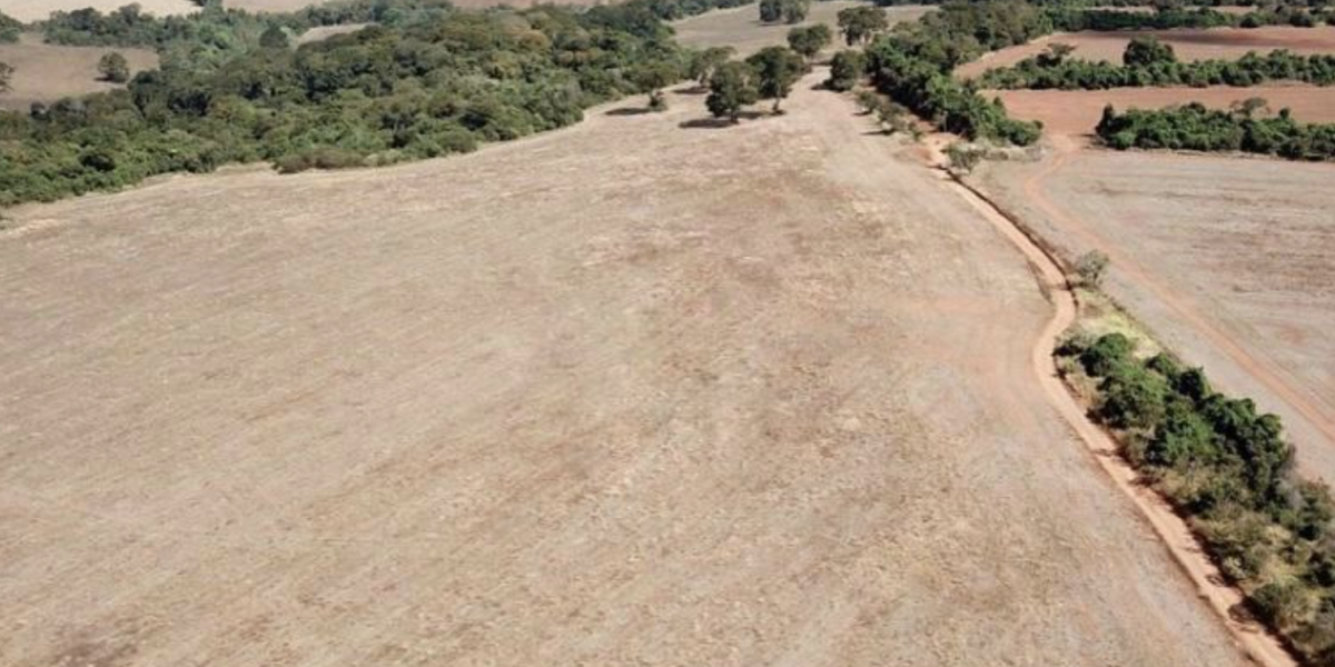 À venda – Fazenda em Anápolis - Goiás