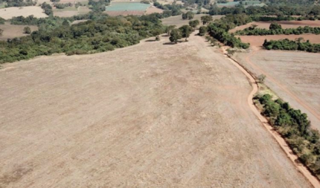 À venda – Fazenda em Anápolis - Goiás