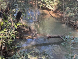 À venda – Fazenda em Anápolis - Goiás