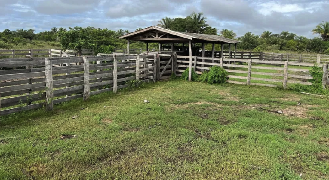 À venda – Fazenda em Barão de Melgaço - Mato Grosso