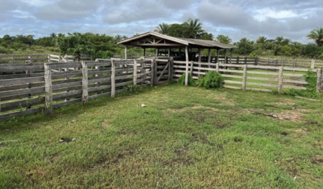 À venda – Fazenda em Barão de Melgaço - Mato Grosso