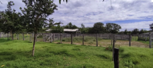 À venda – Fazenda em Barão de Melgaço - Mato Grosso