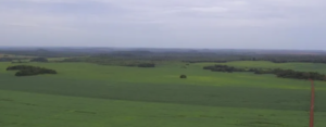 À venda – Fazenda em Campos Lindos - Tocantins