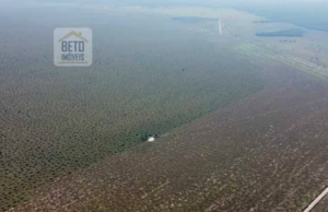 À venda – Fazenda em Cerejeiras - Rondônia