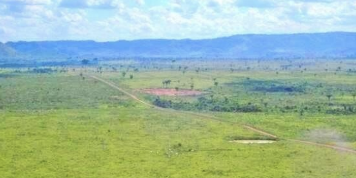 À venda – Fazenda em Cumaru do Norte - Pará