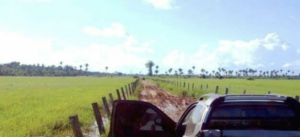 À venda – Fazenda em Cumaru do Norte - Pará