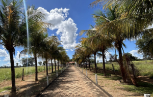 À venda – Fazenda em Fazenda Nova - Goiás