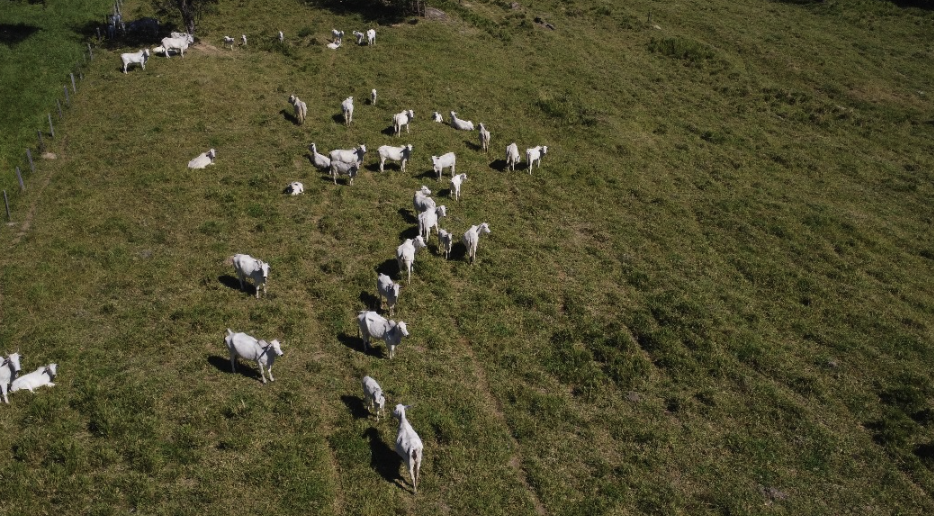 À venda – Fazenda em Itaberaí - Goiás