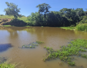 À venda – Fazenda em Itaberaí - Goiás