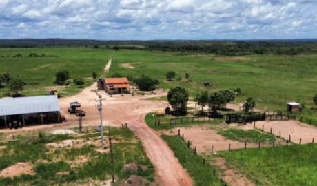 À venda – Fazenda em Lagoa do Tocantins - Tocantins