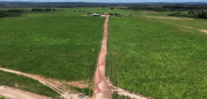 À venda – Fazenda em Lagoa do Tocantins - Tocantins