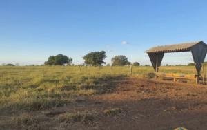 À venda – Fazenda em Monte do Carmo - Tocantins