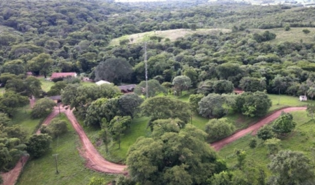 À venda – Fazenda em Novo São Joaquim - Mato Grosso