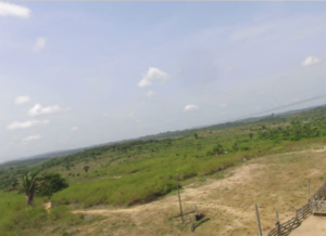 À venda – Fazenda em Pacajá - Pará