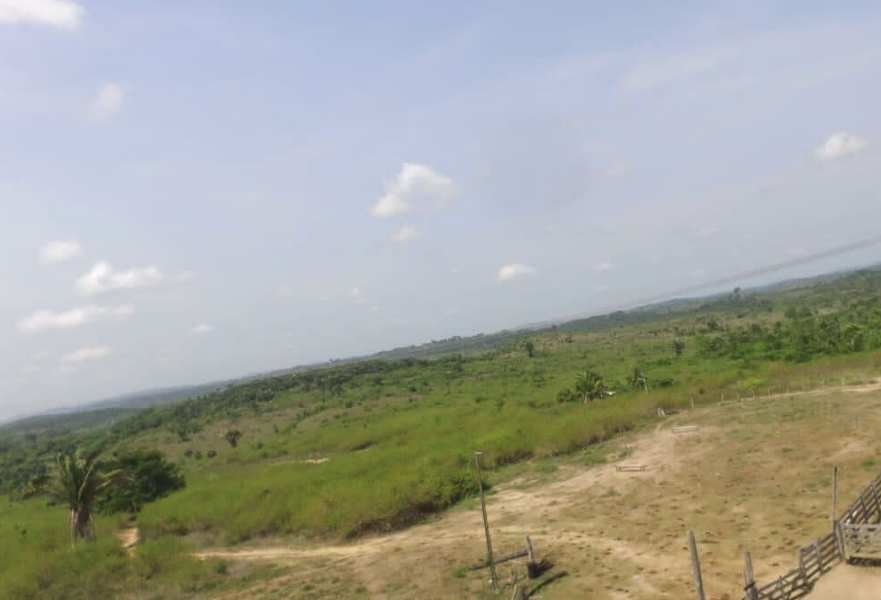 À venda – Fazenda em Pacajá - Pará