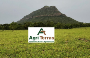 À venda – Fazenda em Paraúna - Goiás