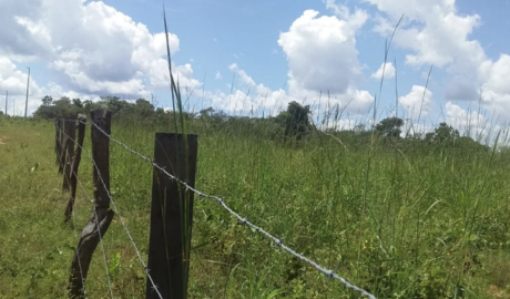 À venda – Fazenda em Ponte Alta do Tocantins - Tocantins