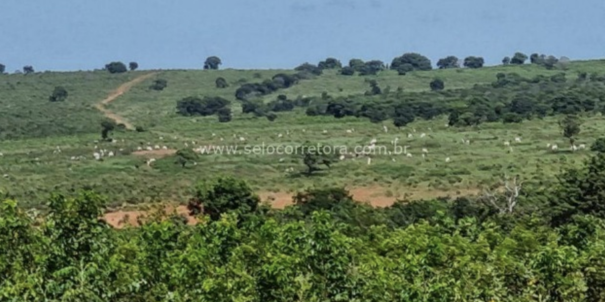 À venda – Fazenda em Ribas do Rio Pardo - Mato Grosso do Sul